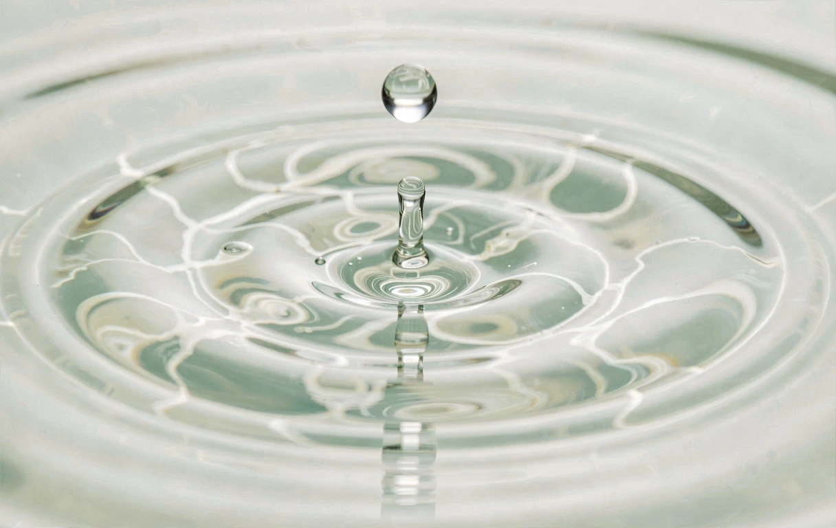 Anyagcsere folyamatok vizualizációja